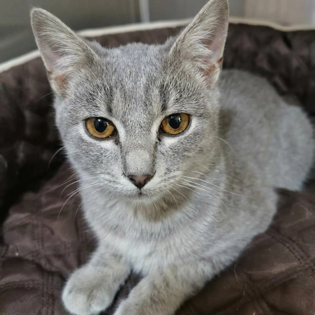 Мальчик — фото 2