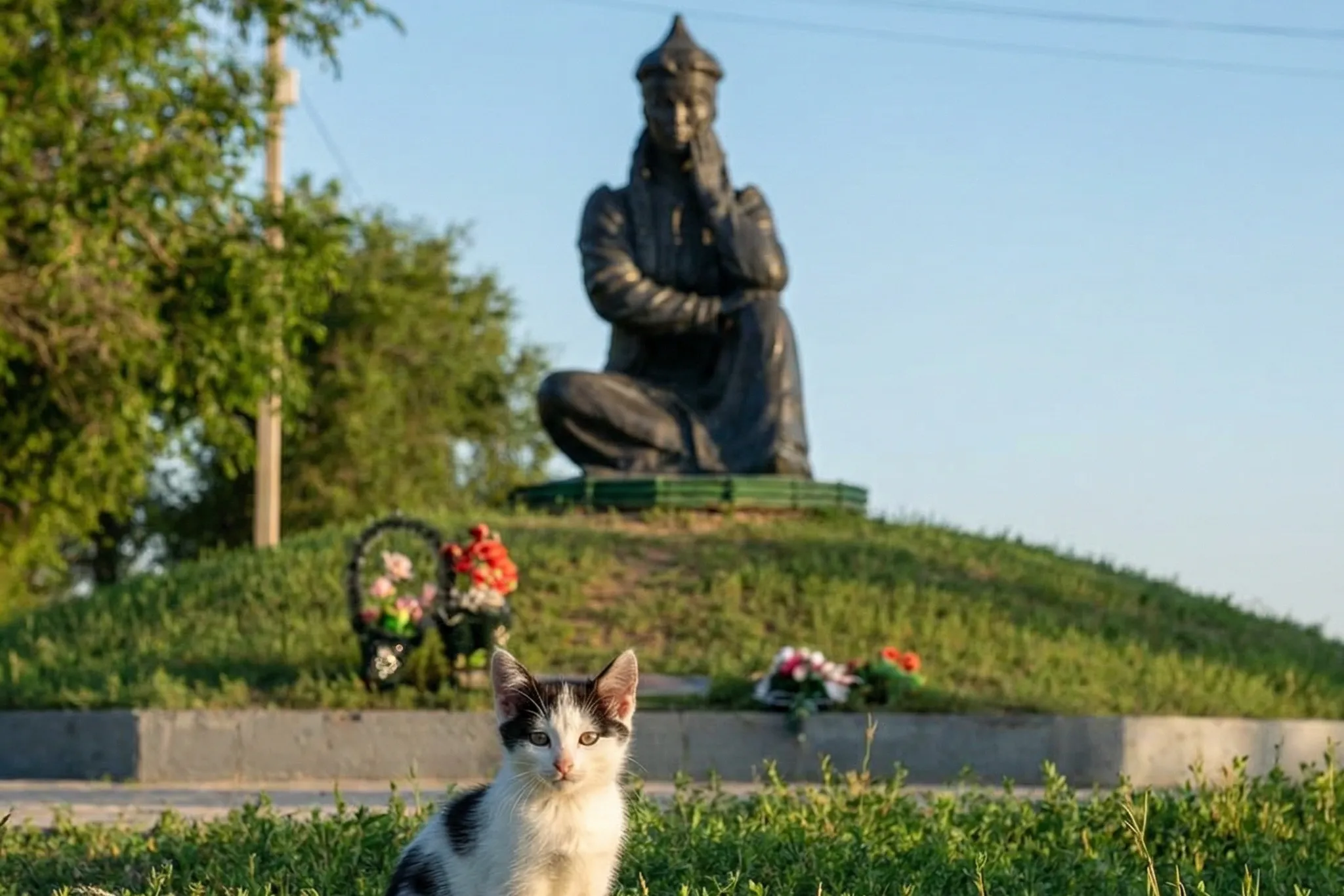 Бездомный котёнок у памятника в Цаган Амане